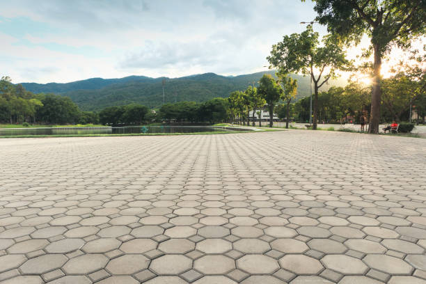 Best Driveway Paving Contractor  in Cross Roads, TX